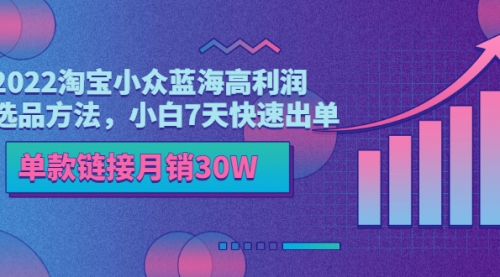 2022淘宝小众蓝海高利润选品方法，小白7天快速出单，单款链接月销30W