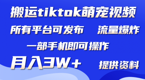 搬运Tiktok萌宠类视频，一部手机即可。所有短视频平台均可操作，月入3W+