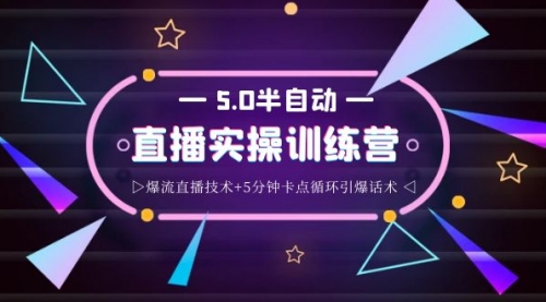 蚂蚁·5.0半自动直播2345打法，半自动爆流直播技术+5分钟卡点循环引爆话术 