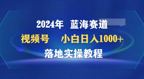 2024年蓝海赛道 视频号 小白日入1000+ 落地实操教程