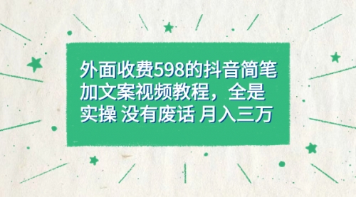 外面收费598抖音简笔加文案教程，全是实操 没有废话 月入三万（教程+资料）