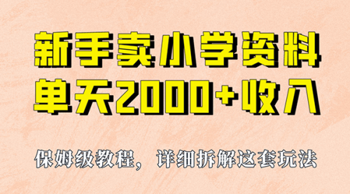 卖小学资料，实现单天2000+，实操项目，保姆级教程+资料+工具