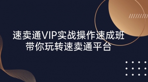 速卖通 VIP实战操作-速成班，带你玩转速卖通平台