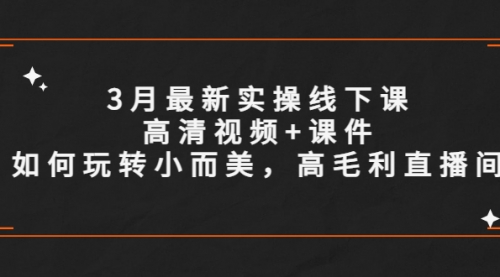 3月最新实操线下课高清视频+课件，如何玩转小而美，高毛利直播间 