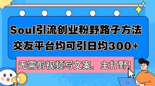 Soul引流创业粉野路子方法，交友平台均可引日均300+