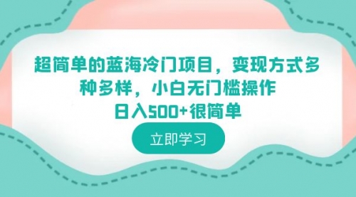 超简单的蓝海冷门项目，变现方式多种多样，小白无门槛操作日入500+很简单