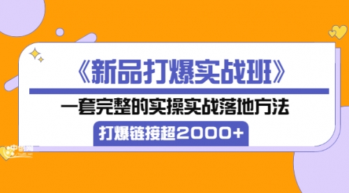 《新品打爆实战班》一套完整的实操实战落地方法，打爆链接超2000+（28节课)