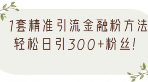 1套精准引流金融粉方法，轻松日引300+粉丝