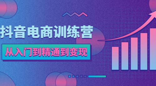 抖音电商训练营：从入门到精通，从账号定位到流量变现，抖店运营实操 