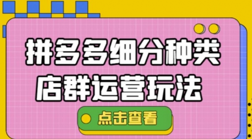 拼多多细分种类店群运营玩法3.0，11月最新玩法，小白也可以操作 