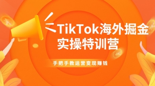 TikTok海外掘金实操特训营：手把手教运营变现赚钱