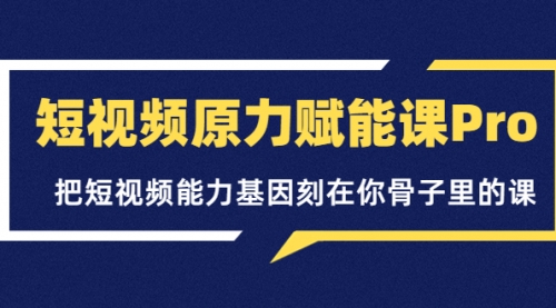 短视频原力赋能课Pro，把短视频能力基因刻在你骨子里的课 