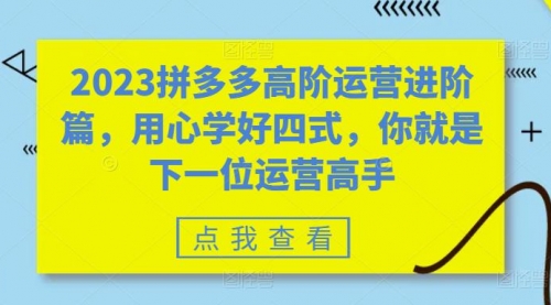 2023拼多多高阶运营进阶篇，用心学好四式，你就是下一位运营高手