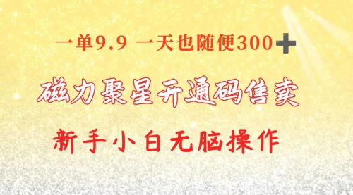 快手磁力聚星码信息差 售卖 一单卖9.9 一天也轻松300+