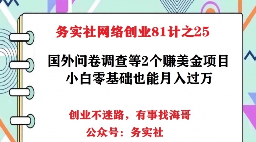 务实社网创81之23：国外问卷调查等2个暴力撸美金项目，小白零基础也能月入过万 