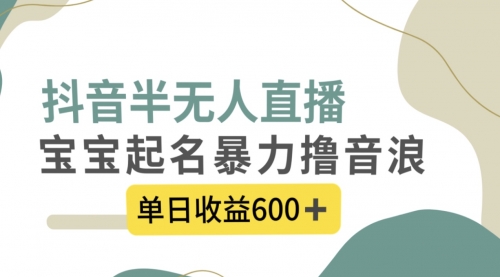 抖音半无人直播，宝宝起名，暴力撸音浪，单日收益600+