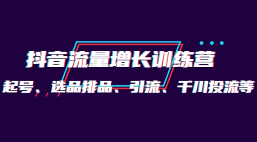 月销1.6亿实操团队·抖音流量增长训练营：起号、选品排品、引流 千川投流等 