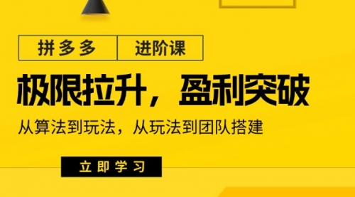 拼多多·进阶课：极限拉升/盈利突破：从算法到玩法 从玩法到团队搭建