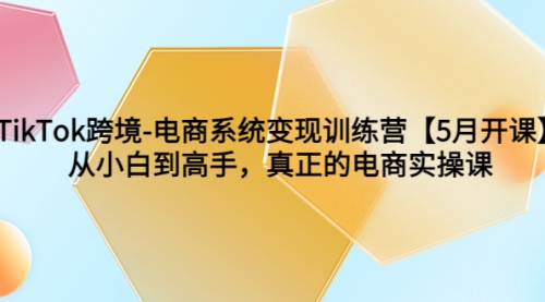 TikTok跨境-电商系统变现训练营【5月新课】从小白到高手，真正的电商实操课 