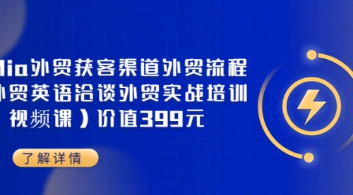 Mia外贸获客渠道外贸流程外贸英语洽谈外贸实战培训（视频课）价值399元 