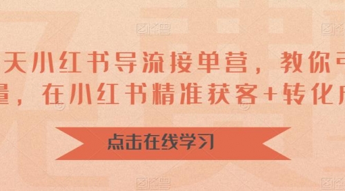 16天-小红书 导流接单营，教你引爆流量，在小红书精准获客+转化成交