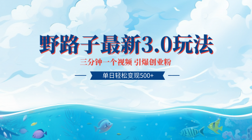 全网独家首发快手野路子3.0玩法 轻松日引300+创业粉