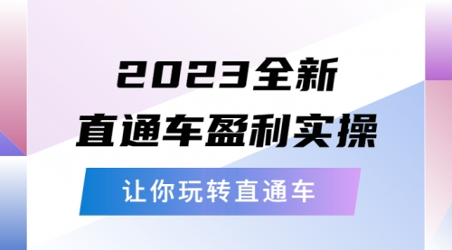 2023全新直通车·盈利实操：从底层，策略到搭建，让你玩转直通车 