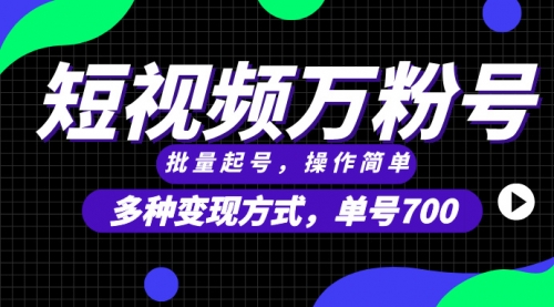 短视频快速涨粉，批量起号，单号700，多种变现途径