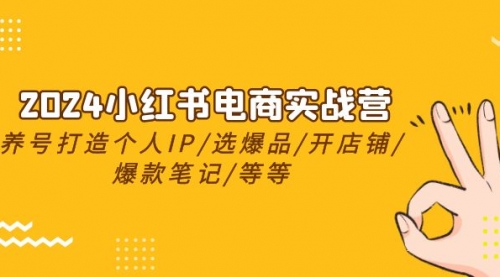 2024小红书电商实战营，养号打造IP/选爆品/开店铺/爆款笔记/等等（24节）