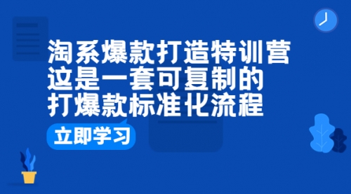 淘系爆款打造特训营：这是一套可复制的打爆款标准化流程