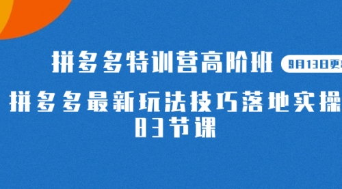 2023拼多多·特训营高阶班【9月13日更新】拼多多最新玩法技巧落地实操-83节