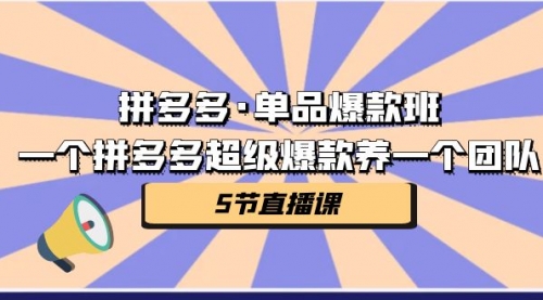 拼多多·单品爆款班，一个拼多多超级爆款养一个团队