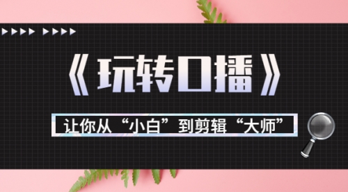 月营业额700万+大佬教您《玩转口播》让你从“小白”到剪辑“大师” 