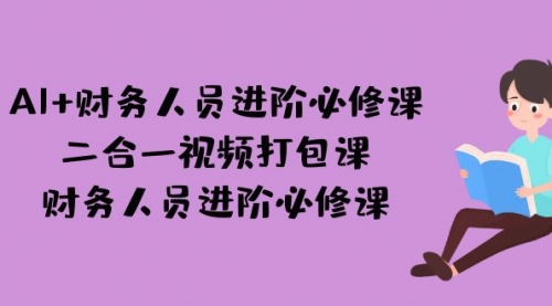 AI + 财务人员进阶必修课二合一视频打包课，财务人员进阶必修课