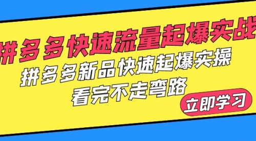 拼多多-快速流量起爆实战，拼多多新品快速起爆实操，看完不走弯路