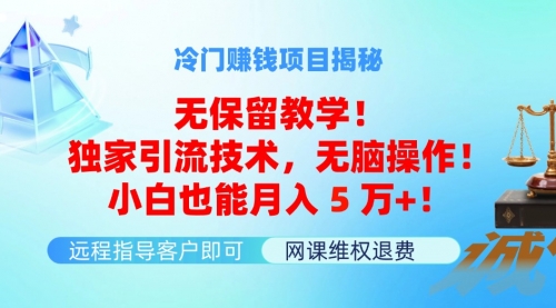 冷门赚钱项目无保留教学！独家引流技术，无脑操作