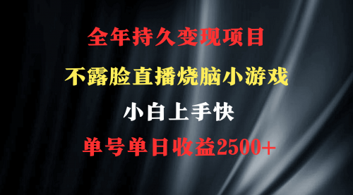 烧脑小游戏不露脸直播 小白上手快 无门槛 一天收益2500+