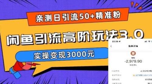 实测日引50+精准粉，闲鱼引流高阶玩法3.0，实操变现3000+ 