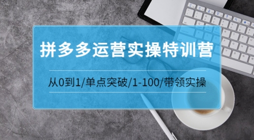 青云:拼多多运营实操特训营：从0到1/单点突破/1-100/带领实操 价值2980元 