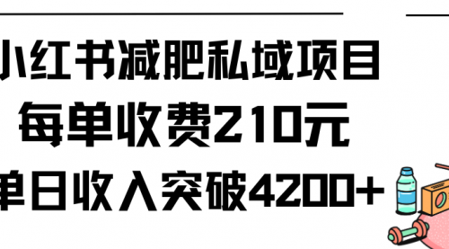 小红书减肥私域项目每单收费210元单日成交20单，最高日入4200+