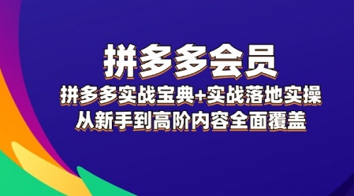 拼多多实战宝典+实战落地实操，从新手到高阶内容全面覆盖