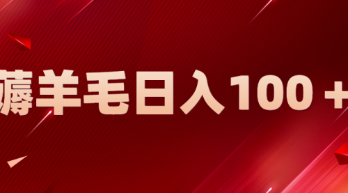 新平台零撸薅羊毛，一天轻松躺100＋，无脑复制粘贴 