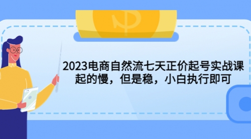 2023电商自然流七天正价起号实战课：起的慢，但是稳，小白执行即可！ 