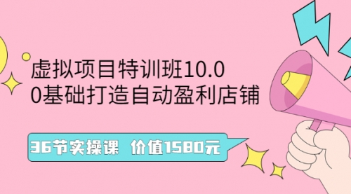 虚拟项目特训班10.0，0基础打造自动盈利店铺 36节实操课 价值1580元