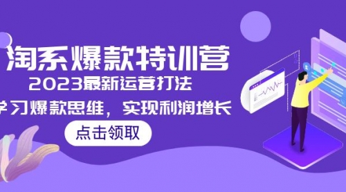 2023淘系爆款特训营，2023最新运营打法，学习爆款思维，实现利润增长 