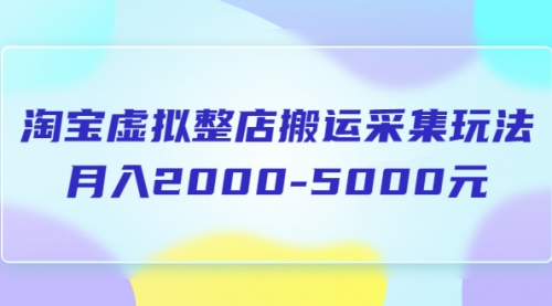 淘宝虚拟整店搬运采集玩法分享课：月入2000-5000元（5节课） 