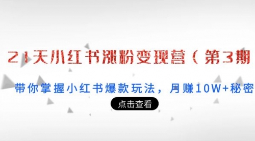 21天小红书涨粉变现营（第3期）：带你掌握小红书爆款玩法，月赚10W+秘密 