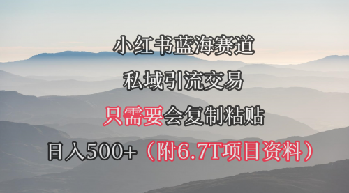 小红书短剧赛道，私域引流交易，会复制粘贴，日入500+（附6.7T短剧资源）