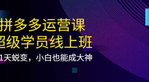 拼多多运营课：超级学员线上班，21天蜕变，小白也能成大神 