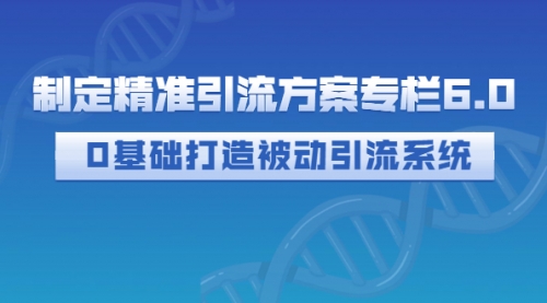 制定精准引流方案专栏6.0：0基础打造被动引流系统（价值1380元）